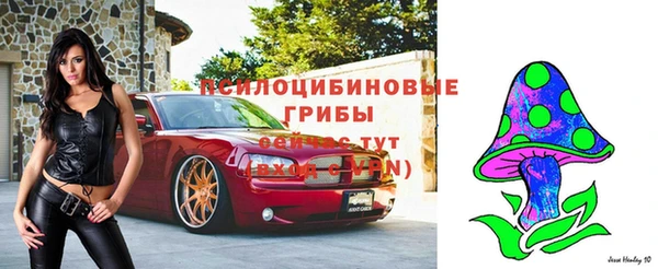 марки nbome Дмитриев