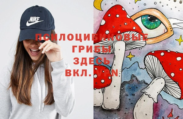 крисы Алексин