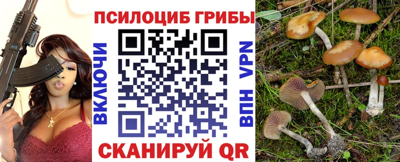 хочу   Таруса  Псилоцибиновые грибы ЛСД 