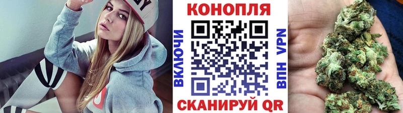 Канабис ГИДРОПОН  Таруса 